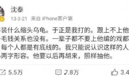 沈泰和陈妍希最新爆料,揭秘娱乐圈背后的惊人真相！