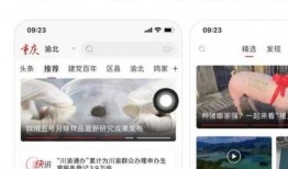 新闻日常爆料,热点事件背后的真相与反思