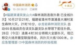 漳浦爆料新闻最新消息,突发事件引发关注，详情即将揭晓