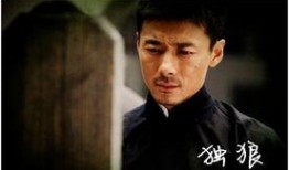 独狼电视剧在线观看,孤胆英雄的生死较量