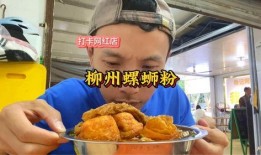 广西柳州网红吃瓜,一场视觉与味蕾的双重狂欢