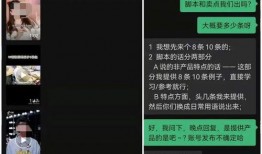 爆料短视频配音素材,爆款背后的故事