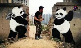 俏皮小熊猫爆料视频大全,萌态百出，欢乐无限