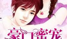 娱乐吃瓜酱妻子小说阅读,妻子背后的爱情故事