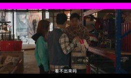 作秀时刻 在线观看,在线观看背后的真实故事