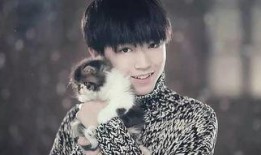 王俊凯大佬爆料视频,独家爆料背后的故事与幕后花絮