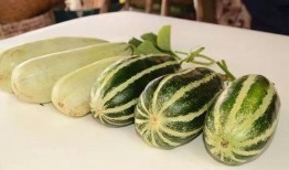 广西柳州网红吃瓜,一场视觉与味蕾的双重狂欢