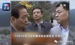 中阳一中爆料事件始末视频,真相与争议的交织