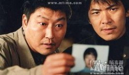 《杀人回忆》在线观看,探寻真相与人性挣扎的悬疑之旅