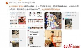 近期网红爆料新闻视频,近期热门新闻视频幕后真相揭秘