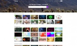 视频爆料素材网站下载大全,海量资源一网打尽