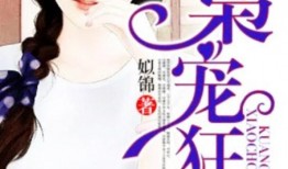 娱乐吃瓜酱妻子小说阅读,妻子背后的爱情故事