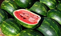 怎样能免费吃瓜最新,轻松解锁美食盛宴的秘密