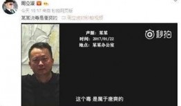 唐爽最近最新爆料,揭开娱乐圈惊人内幕