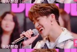 磊麦最新爆料是真的吗,真实性揭秘，真相即将揭晓！