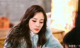 陈晨最新爆料新闻报道视频,揭秘事件背后惊人真相