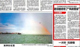 宁波爆料栏最新事情,惊现神秘事件，真相即将揭晓！