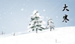 《大寒》全集在线观看,穿越时空的温情岁月