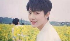 圈内爆料杨紫肖战的视频,甜蜜瞬间引网友热议