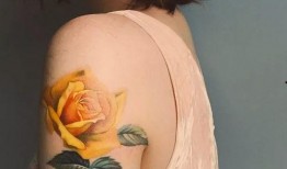 纹身女孩网红吃瓜视频,揭秘娱乐圈幕后真相