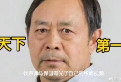 马保国被爆料视频大全集,揭秘“格斗大师”的真实面目