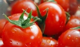 西红柿姐姐网红吃瓜,揭秘娱乐圈幕后真相