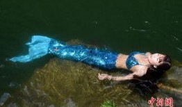 美人鱼在线观看,梦幻海洋的奇幻之旅