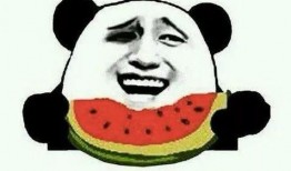 吃瓜宗门全集免费看,揭秘神秘门派，免费畅享全集大揭秘