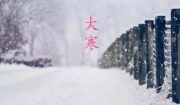 《大寒》全集在线观看,穿越时空的温情岁月