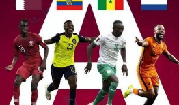 卡塔尔知名记者爆料视频,揭秘神秘视频背后的真相