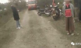 钓鱼爆料视频最新大全集,揭秘钓鱼高手们的实战技巧与经验分享