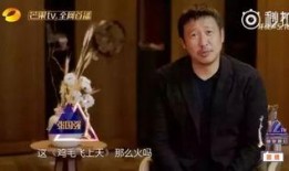 张译爆料黑料视频大全,娱乐圈背后的真相