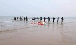 燕赵都市最新爆料,最新爆料事件深度解析