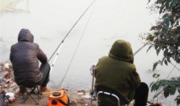 钓鱼爆料视频最新大全集,揭秘钓鱼高手们的实战技巧与经验分享