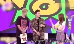 娱乐相互爆料,明星互爆猛料，真相背后谁主沉浮？