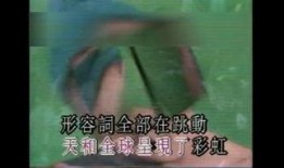 陵辱的连锁在线观看