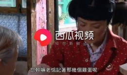 老三爆料老二视频