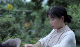 李子柒最新爆料,揭秘田园生活的诗意与真实