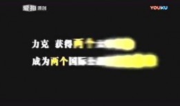 晨飞爆料视频大全,揭秘热点事件背后的真相