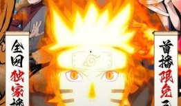 鸣人爆料视频合集,揭秘忍者世界的秘密与成长历程