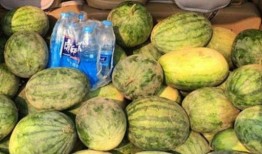 江苏200万网红吃瓜,揭秘网络热点背后的故事