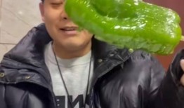 网红吃瓜视频500部,揭秘娱乐圈幕后真相