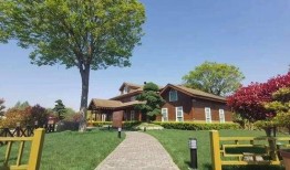 大同同城爆料最新消息查询,揭秘城市热点事件背后的真相