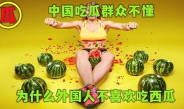 吃瓜宗门全集免费看,揭秘神秘门派，免费畅享全集大揭秘