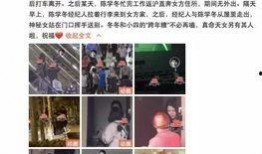 四冬最新爆料,揭秘娱乐圈惊天秘密