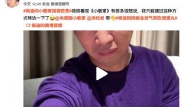 杨迪爆料妈妈生气了视频,网友热议家庭温馨瞬间