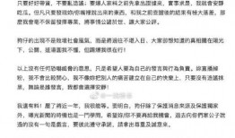 狗仔怎样爆料新闻事件,独家爆料新闻事件幕后真相