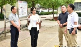 爆料拍摄趣事视频教程,从爆料到爆款，趣事教程全解析