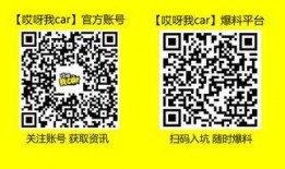 长沙最新事件爆料视频播放,视频爆料揭示惊人真相