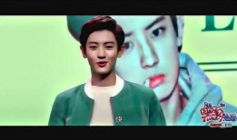 娱乐圈有什么爆料的小说,揭秘明星背后的秘密